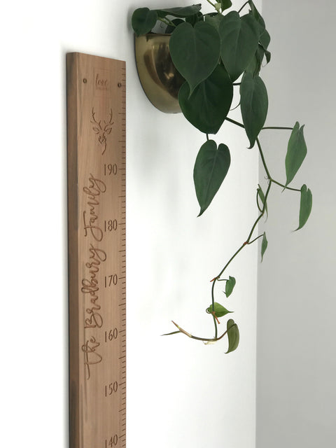 Stag Head personal height chart in natural recycled rimu