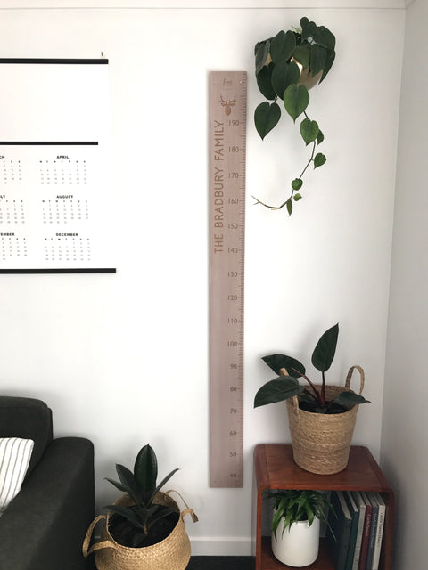 Stag Head personal height chart in whitewash recycled rimu
